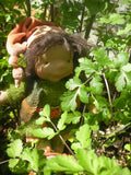 Waldorf/ Steiner inspired doll "Pippin"